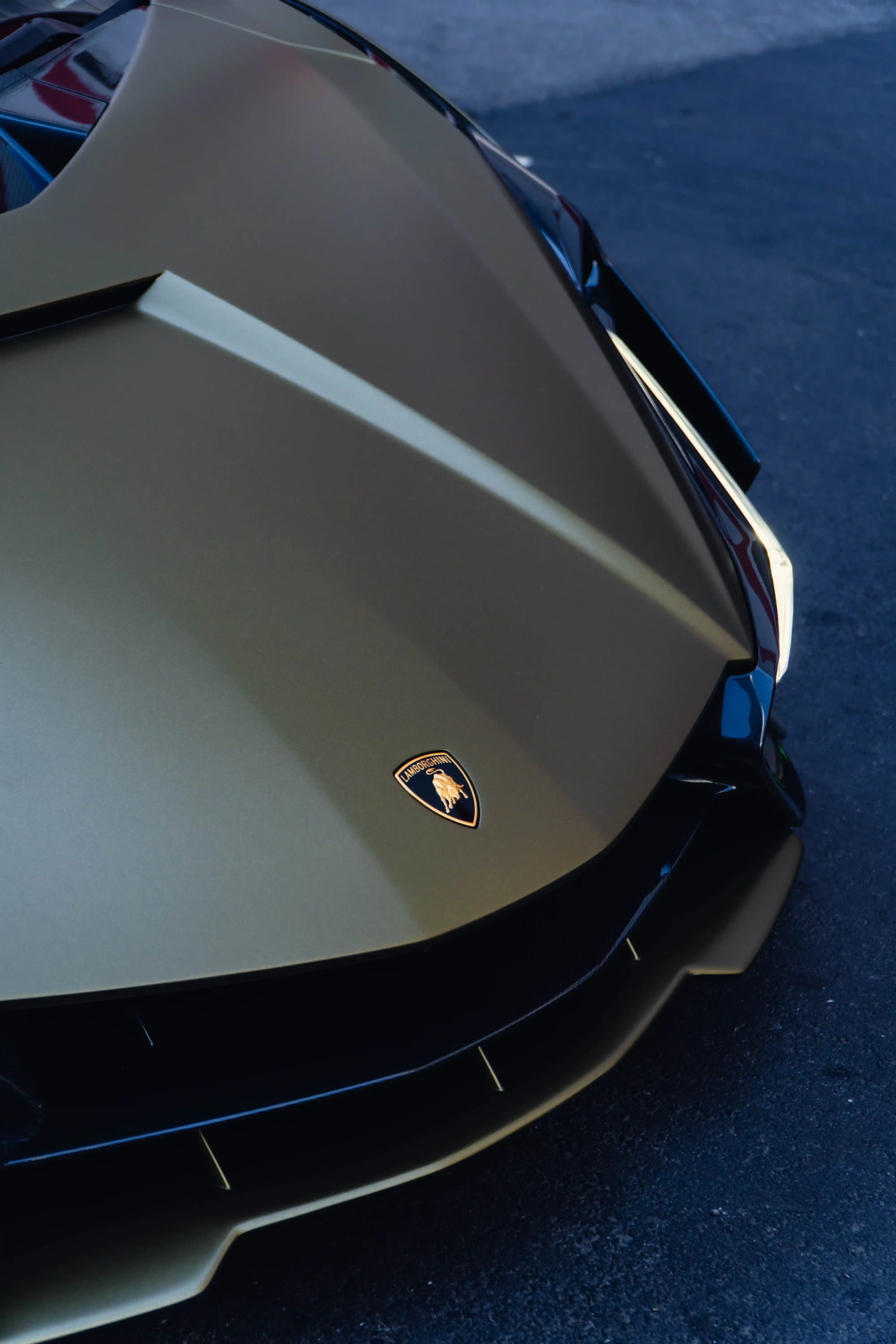 Lambo Photo 6